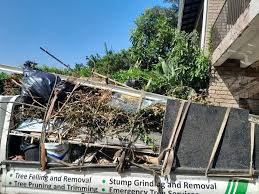 Best Yard Waste Removal  in Miami, AZ